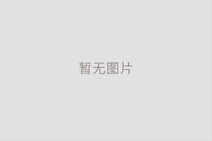 RA0063F/RA0100F真空泵進(jìn)氣濾網(wǎng)